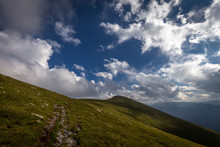 Rocky Path In The Fresh, Green, Grassy Rax Plateau With And Dramatic, Cloudy, Blue Sky To The Kaiserstein, Peak Of Schneeberg, Raxalpe, Alps, Lower Austria