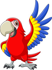 Wall Mural - Cartoon macaw waving