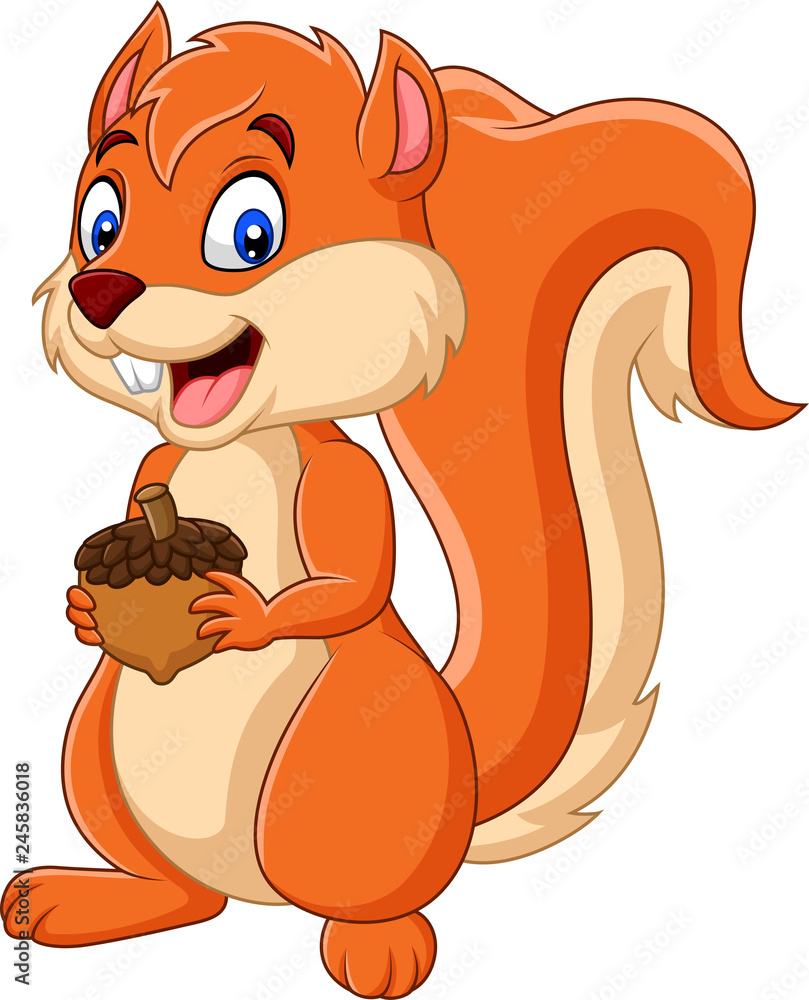 Cartoon squirrel holding nut - obrazy, fototapety, plakaty 