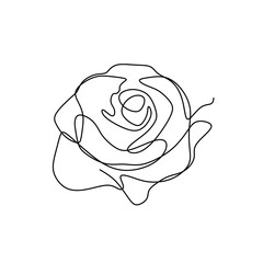 Wall Mural - flower continuous one line art drawing vector illustration. awesome rose isolated on white backgroun