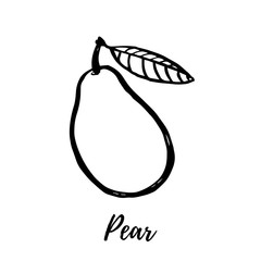 Wall Mural - Hand drawn sketch style pear illustrations isolated on white background. Fresh food vector illustration.