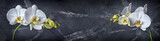 Banner with branches ofl white orchid flowers on black marble background