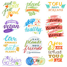 Vegan Vector Healthy Vegetarian Food Eco Vegetable Fruit Lettering Sign Illustration Fruity Handwritten Logotype Vegetated Set Of Organic Meal Isolated On White Background