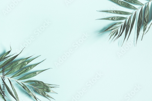 Foto-Plissee zum Schrauben - Tropical palm leaves on pastel mint background. Summer concept. Flat lay, top view, copy space (von Flaffy)