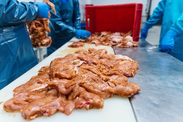 Wall Mural - Workers in uniform in the production of chicken blanks prepare meat for kebabs spread out on the table