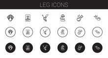 Leg Icons Set