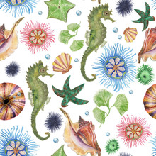 Watercolor Painting Seamless Pattern With Seahorse And Flowers, Corals, Shells, Seaweed, Starfish