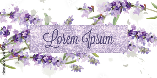 Lavender card watercolor Vector. Flowers bouquet background. Spring delicate ...