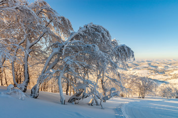 Canvas Print - Sunny morning on mountain ski resort