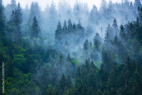Misty mountain landscape