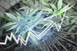 Marijuana Penny Stocks Exploding High Quality Stock Photo 