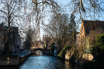 Canal in Bruges