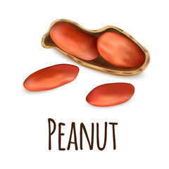 Wall Mural - Peanut icon. Realistic illustration of peanut vector icon for web design isolated on white background