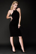 © LIGHTFIELD STUDIOS - attractive blonde girl in black dress posing isolated on black