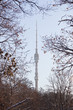 Ostankino TV tower framed by tree branches against the blue sky. Winter. Sunny day.