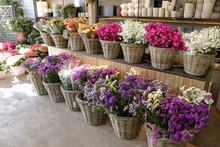 In A Wicker Basket Variety Of Limonium Sinuatum And Matthiola Incana Flowers In Violet, Pink, White Colors For Sale In The Greek Flower Shop.