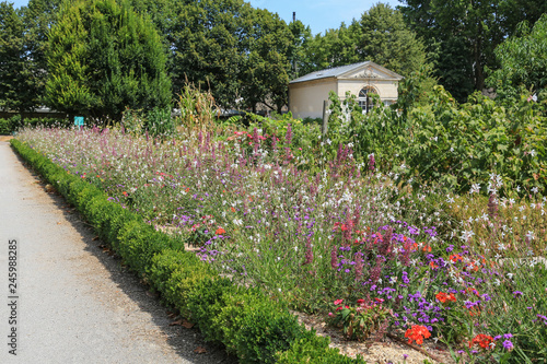 Gartengestaltung Gartenhaus Und Blumenwiese Mit Grosser