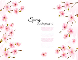 Poster - Sakura japan cherry branch with a pink flowers background. Vector