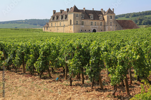 Fotografía Weinbaugebiet Burgund: Weinberge und das berühmte Schloss Clos de Vougeot