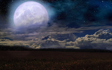 Wall Mural - Fantastic full moon on the background of the field