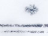 Fototapeta Mosty linowy / wiszący - Drzewo na tle śniegu z góry