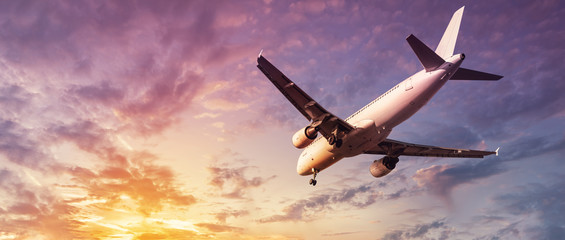 Wall Mural - modern airplane against a sunset