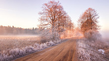 View Of Frozen Road In Early Spring. Misty Morning