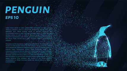 Penguin. A grid of blue stars in the night sky. Glowing dots create the shape of a penguin.