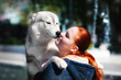 © Rabinger - A young Siberian husky male dog is looking on a caucasian ginger girl and going to kiss her. A dog has grey and white fur and brown eyes. A girl has closed her eyes; she truly enjoys this moment.