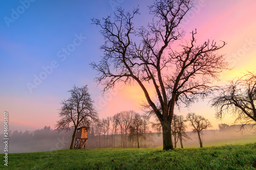 Rural landscape at sunset, with beautiful different colors in the sky