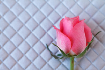 pink rose on skin texture silver color perfume m glass beads