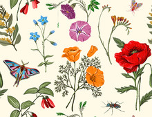 Summer Vector Seamless Pattern. Botanical Wallpaper. Plants, Insects, Flowers In Vintage Style. Butterflies, Beetles And Plants In The Style Of Provence. Drawn Nature Wallpaper. Summer