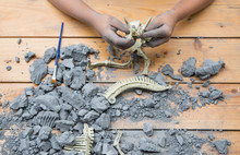 Kid Playing With Educational Archaeology Toy With Dinosaur Fossil