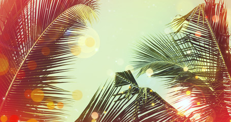 coconut palm tree under blue sky. vintage background with bokeh and flares.