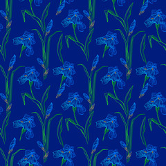 Wall Mural - Iris flowers vector seamless pattern flowered background of botany texture