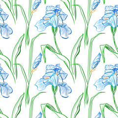 Wall Mural - Iris flowers vector seamless pattern flowered background of botany texture