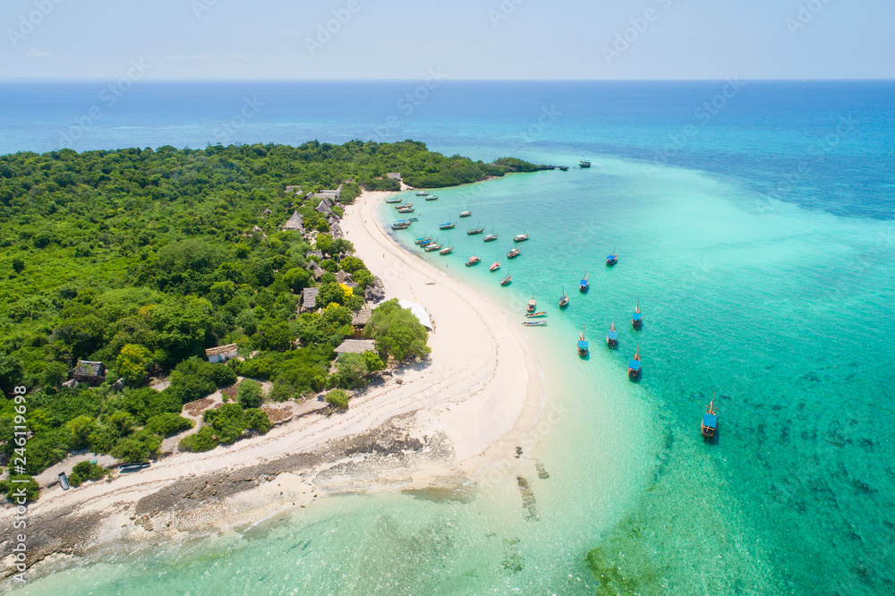 curved coast with boats in lagoon on Zanzibar island - obrazy, fototapety, plakaty 