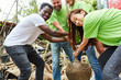 Junges Team Freiwilliger pflanzt einen Baum