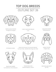 Wall Mural - Top dog breeds. Hunting dogs set. Pet outline collection