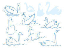 Swan Continuous One Line Drawing Vector Set.
