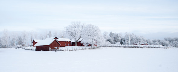 farm barn and house in a cold winter landscape with snow and frost
