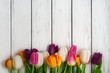 © Tania Zbrodko - Beautiful tulips background