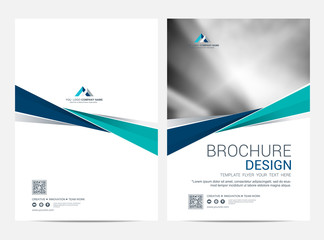 Wall Mural - brochure template flyer design vector background