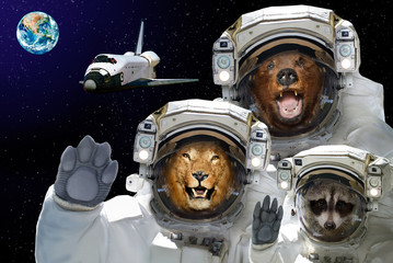 Wall Mural - space is available to all. bear, raccoon and lion in space against the background of the space shutt