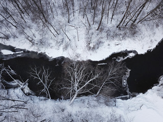 Poster - Top view of river in the forest