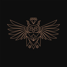 Owl Geometry With Diamond Logo Design