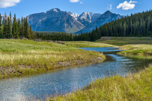 Mountain Creek - A Spring Morning View Of A Clear Creek Winding Through Green Meadow And Dense Forest At Base Of Mt. Astley, Banff National Park, Alberta, Canada.
