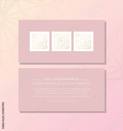 Elegant Light Pink Background Gold Foil Elements Romantic