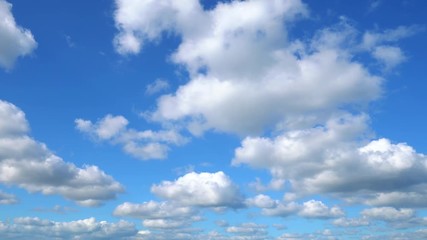 Wall Mural - the clear sky with a cloud