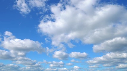 Wall Mural - the clear sky with a cloud